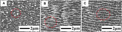 Effects of Ablation Regimes on the Formation and Evolution of Femtosecond Laser-Induced Periodic Structures on Titanium